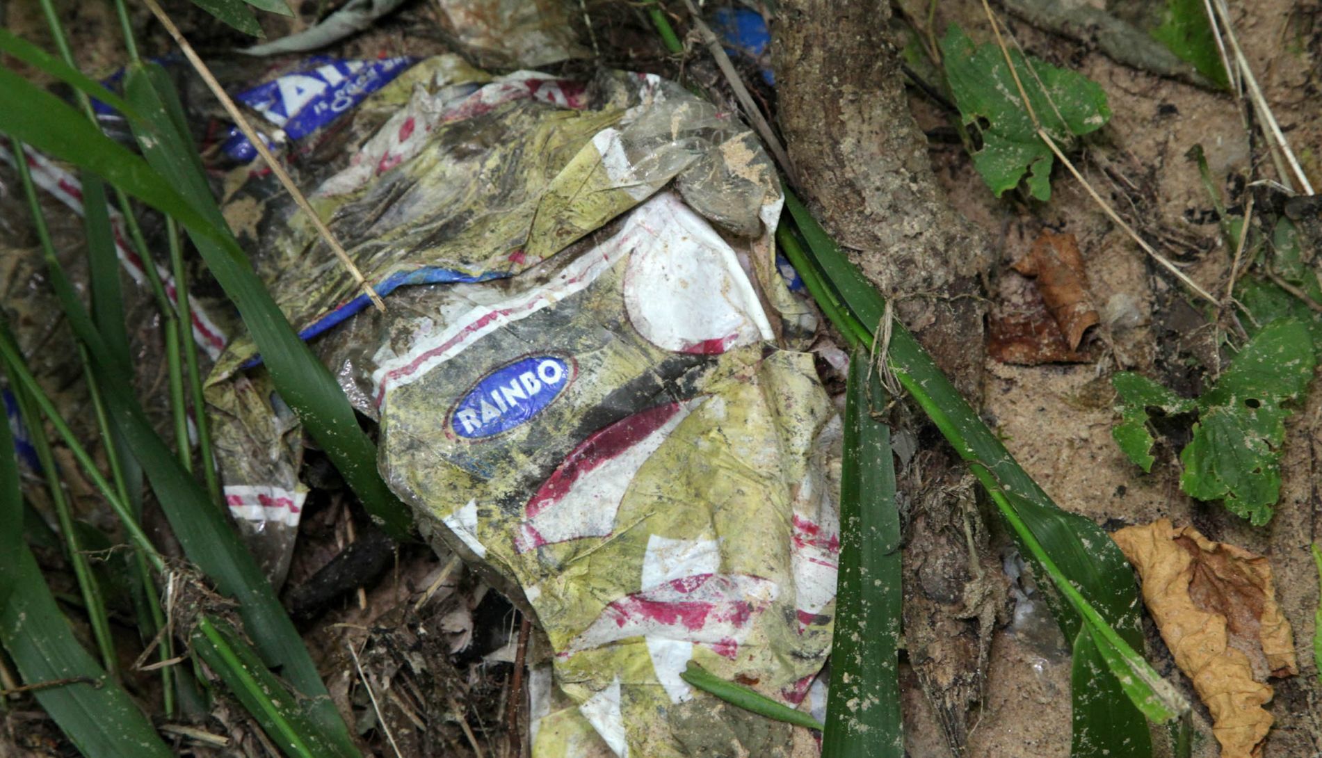 Bird Creek Garbage